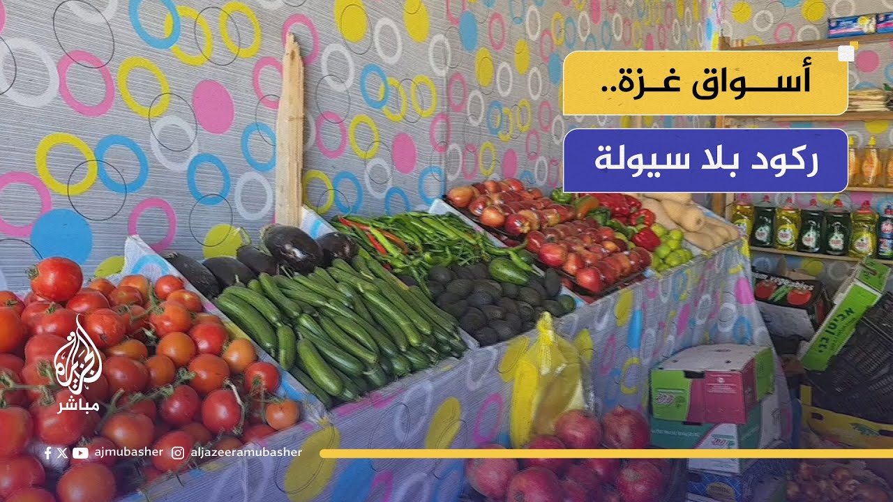 "الطرق مدمرة كليا".. معاناة يومية لنقل البضائع إلى شمال غزة