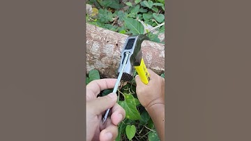 Magnet Claw Hammer, High Performance Hardware Tools Good Tools For Best Recommendations