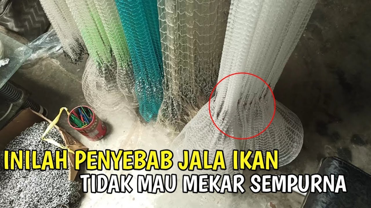 JALA FULL MEKAR - REVIEW JALA UDANG 3/4 INCHI 0.30MM