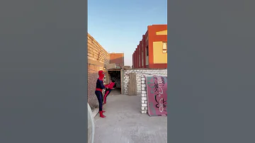 العنكبوت النونو 