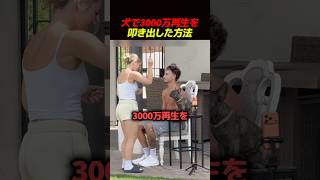 犬で3000万再生を叩き出した方法 🐶
