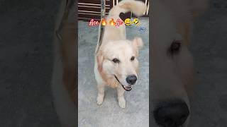 “Naam 2 ton AC 😎Asli wajan — 62 kg 😅”#ACE #Funny #Comedy #AC #2TonAC #Joke #Viral #LOL #Masti