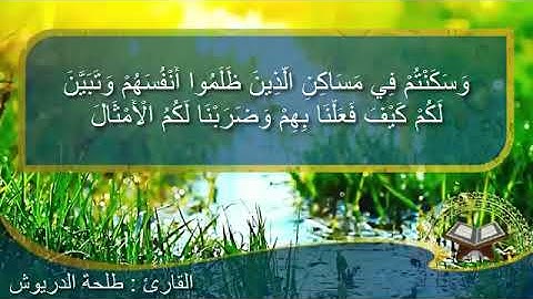 تلاوة من اواخر سورة ابراهيم للقارئ : طلحة الدريوش
