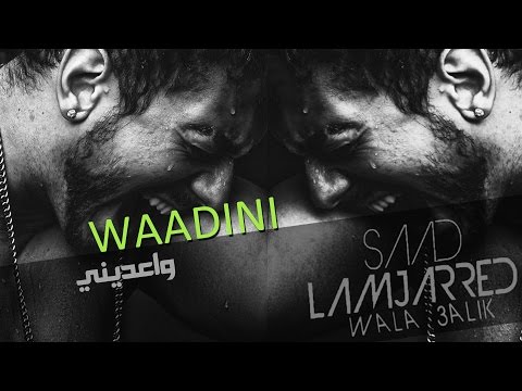 Saad Lamjarred Chi è? Quanti anni ha? Dove ha vissuto? Chi sono i suoi genitori?