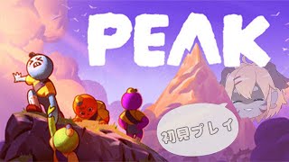【PEAK】バズる予感？協力して登山していく？【Vtuber】