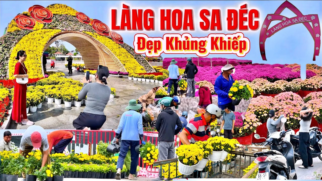 Quá Bất Ngờ, Làng Hoa Sa Đéc, Đồng Tháp Chua Lúc Nào Đẹp Như Lúc Này