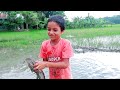 Amazing Hand Fishing Video || Amazing Boy Catching Big Catfish In Mud Water.Deshi Fish Hunter.