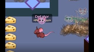 TRANSFORMICE - 9 minutes and 34 seconds of firsts with 50+ mice