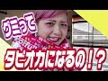 今世紀最大の発見をしてしまった【タピオカ】