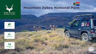 Mountain Zebra National Park: Game Drive and Hiking Adventure