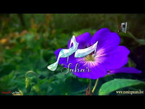 معنى اسم سحر وبعض من صفات حاملة هذا الاسم على قناة معاني الاسماء 