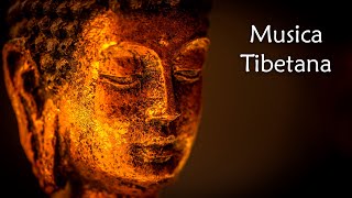 Música tibetana, vibración de energía positiva, flauta india, limpieza de energía negativa