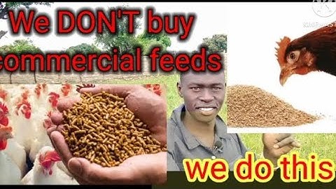 HOW TO CUT DOWN THE COST OF POULTRY FEEDS FROM 80% TO 30%