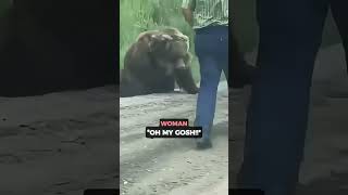 Never get this close to a wild bear 🐻 #shorts #danger #survival