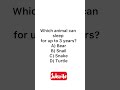 Quiz time #braintest#trivia#shorts #youtubeshorts#knowledge#test