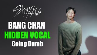 Stray Kids Bang Chan Hidden Vocals In 