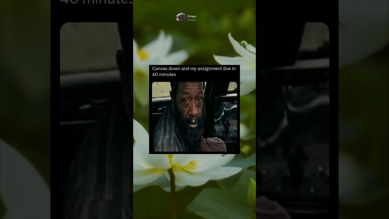 Canvas down and my assignment due in 40 minutes