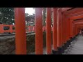 Nezu Shrine 3D VR180 Quest Japan&quot;Senbon Torii” (根津神社), a Shinto Shrine in Bunkyo ward in Tokyo