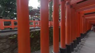 Nezu Shrine 3D VR180 Quest Japan&quot;Senbon Torii” (根津神社), a Shinto Shrine in Bunkyo ward in Tokyo