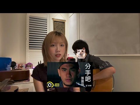 *･･*:.｡.分手吧.｡.:*･'(*ﾟ▽ﾟ*)COVER