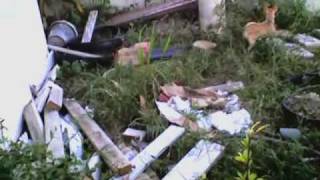 Capture 20090301 2