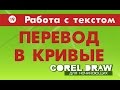 КАК ПЕРЕВЕСТИ ТЕКСТ В КРИВЫЕ. ЗАЧЕМ? Corel DRAW. КОРЕЛ. Уроки для начинающих