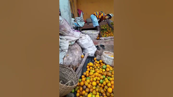 fruit Market ikotun lagos