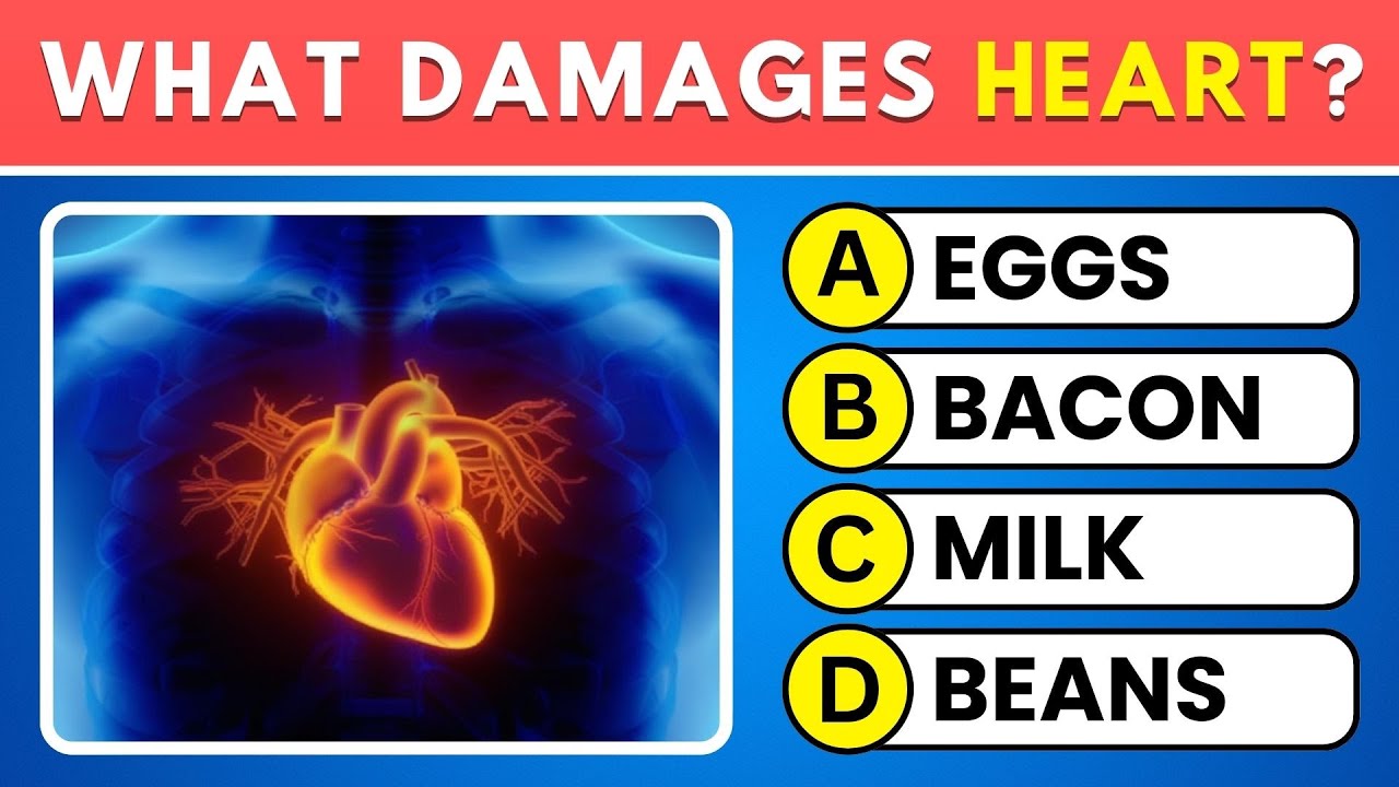 Can You Pass This Human Body Quiz? 🧠 Test Yourself With 50 Anatomy Questions! 📚