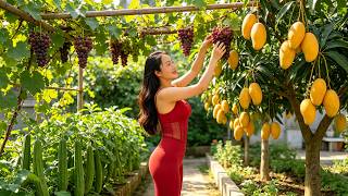 Harvest Grapes, Bitter Melon,  Mango – Make Green Mango Salad With Dried Snakehead Fish, Farm Care