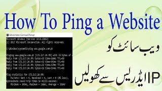How To Ping a Website With Command Prompt | Online Classes