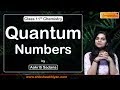 Structure of the Atom ( 17 Quantum Numbers ) Demo Videos - #CBSE Class 11 Chemistry