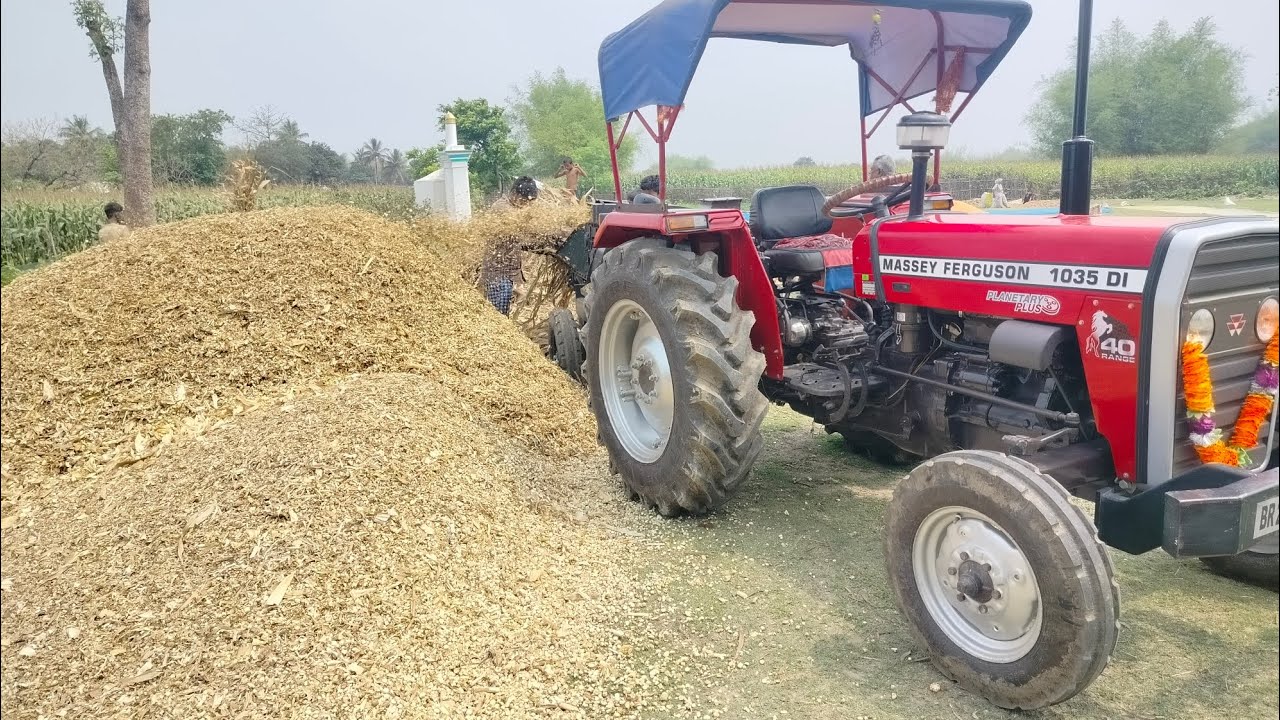 कुट्टी काटने वाला वीडियो आरएमपी कुत्ता मशीन