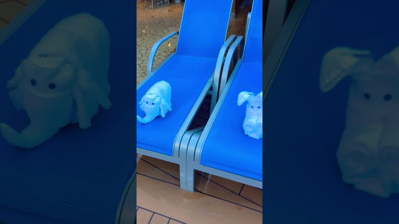 Towel Animals Take Over The Pool Deck! #viral #fun #shorts #youtubeshorts #trending #love #cruise