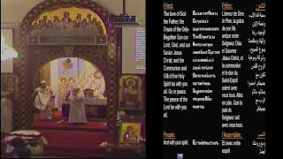 Virgin Mary Coptic Orthodox Church Montreal Live Stream