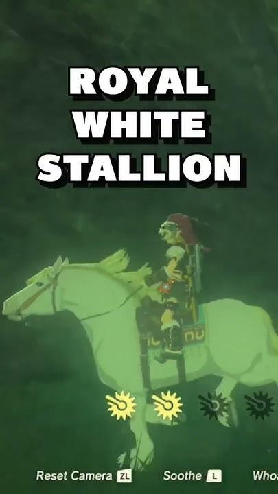 Where To Find The White Horse Botw WHERE TO FIND THE FASTEST HORSE IN BOTW! (Zelda’s Horse/White Royal