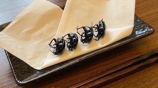 黒光りする虫の素揚げ Youtube