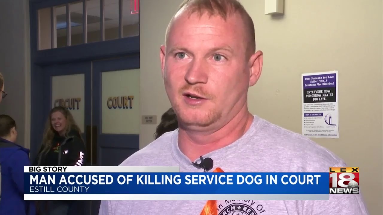Man Accused Of Killing Service Dog In Court - YouTube