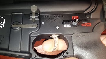 Fostech Echo AR II review... good and bad.