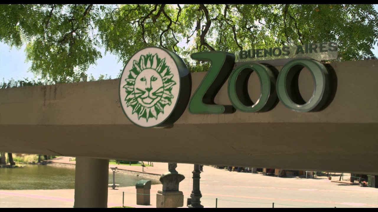 Locos Sueltos en el Zoo | Trailer