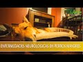 Enfermedades Neurologicas en Perros Mayores- TvAgro por Juan Gonzalo Angel Restrepo