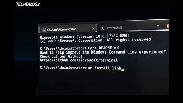 Windows Terminal 1.0, Windows Package Manager and WSL-2 gets new features.