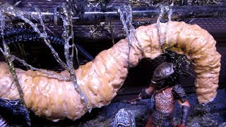 Любопытная версия!!! Это Люди или грибы, похожими на человеческие тела? Любопытная версия!!! Это Люди или грибы, похожими на человеческие тела?