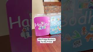 Mini Fridge Restock For My 9 Kids Children S Mini Fridge
