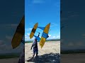Palipad ng tora tora sa C6, Taguig City