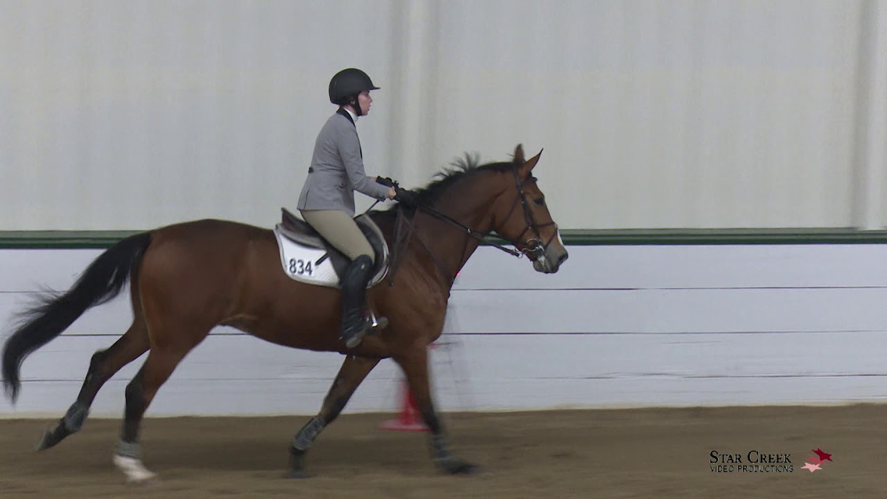 Emily Lacey & Trooper's Boy - Low C/A Jumper - 1st class Fri - Led A2 Jan 2019