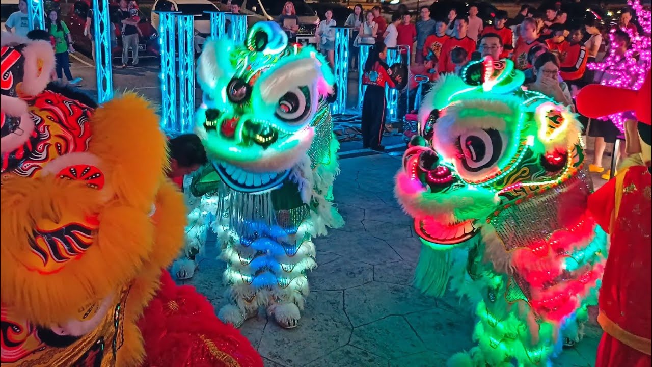 Lion Dance - Roar unleashed again. 