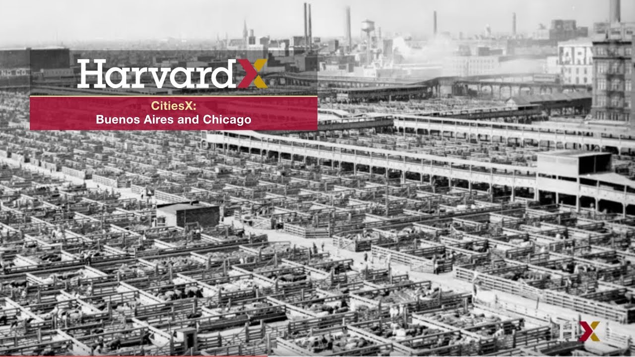 Buenos Aires and Chicago