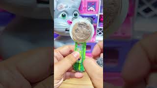 Popfinity ASMR | Grey Cat Enjoys Crunchy Chocolate Panda ASMR