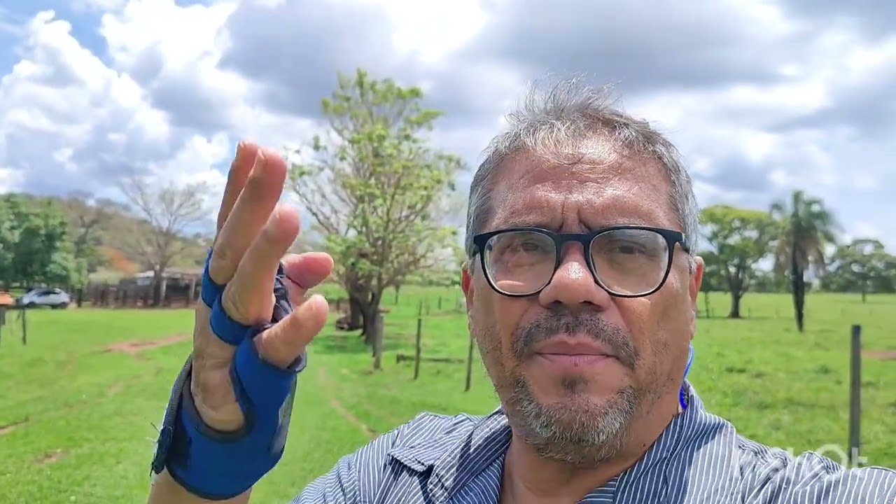 Fazenda Próximo a Goiânia40km