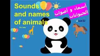 animal sound and names - اسماء و اصوات الحيوانات screenshot 5